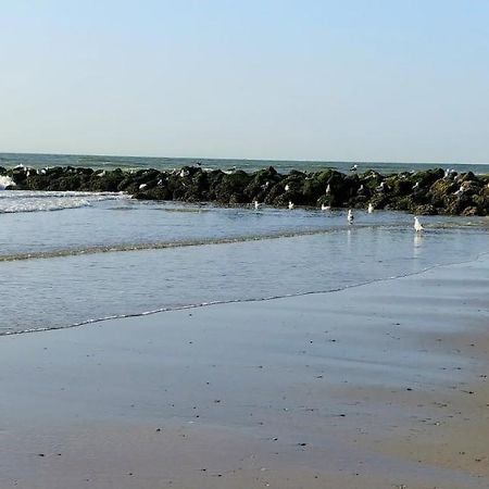 Sunny Bank Westende Zeezicht 米德尔克尔克 外观 照片