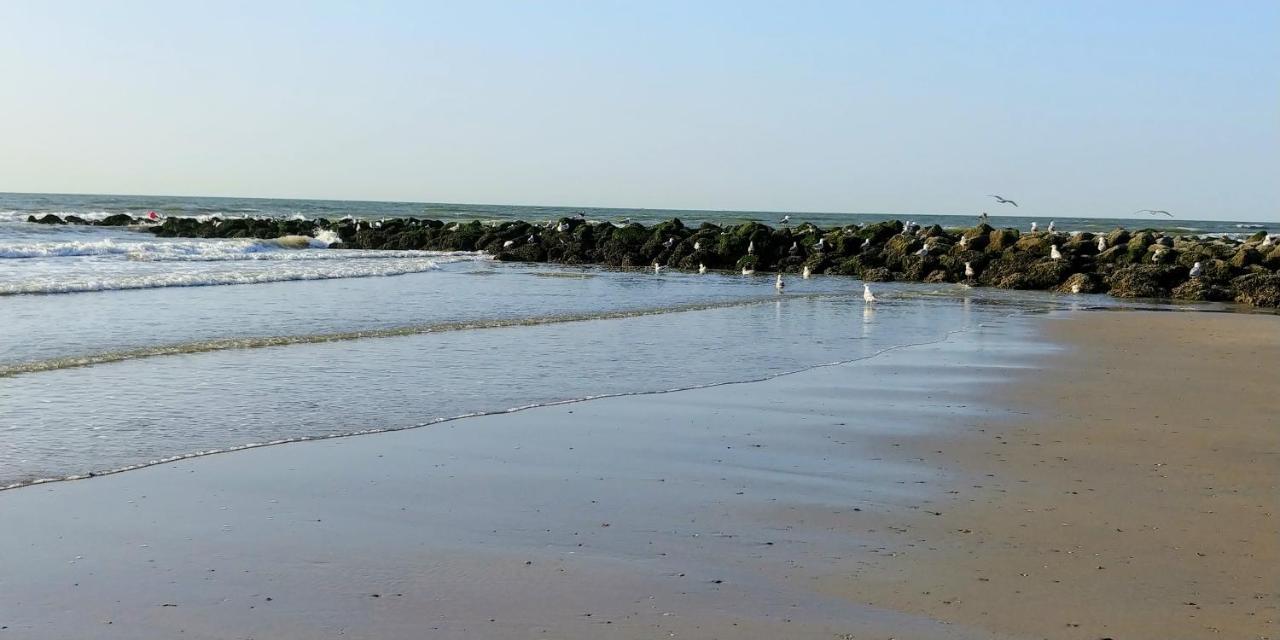 Sunny Bank Westende Zeezicht 米德尔克尔克 外观 照片